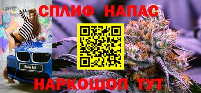 ECSTASY Новодвинск