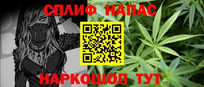 ECSTASY Новодвинск