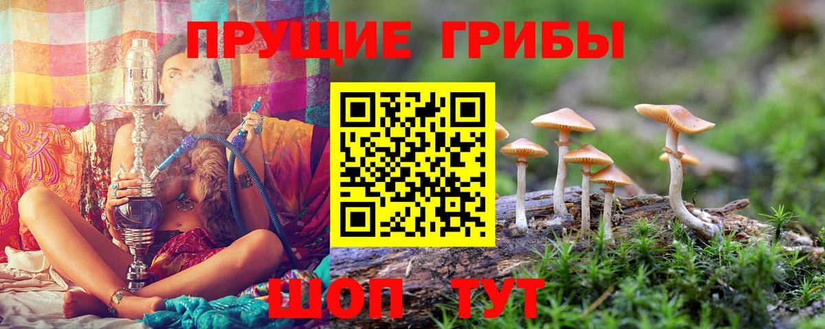 Псилоцибиновые грибы мицелий Саянск