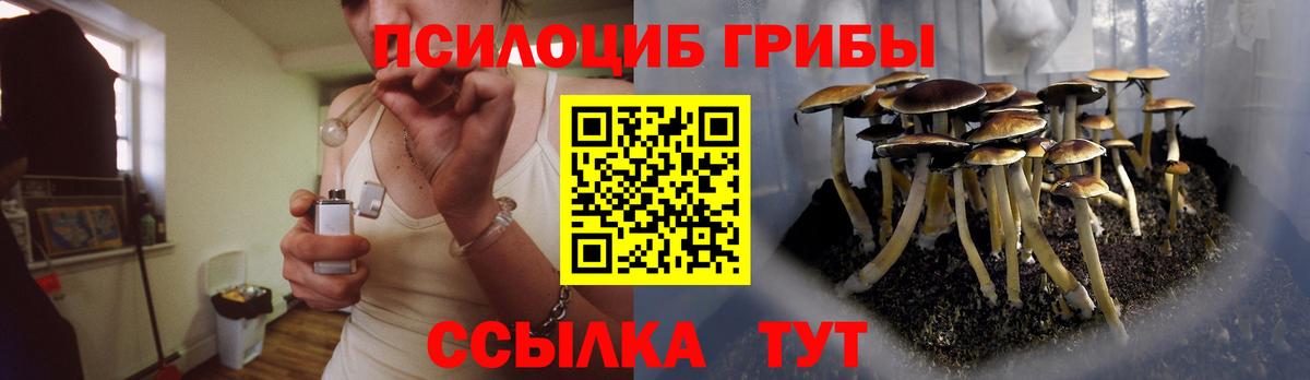 Саянск  Псилоцибиновые грибы Cubensis  Вход с VPN  Галлюциногенные грибы Psilocybe 